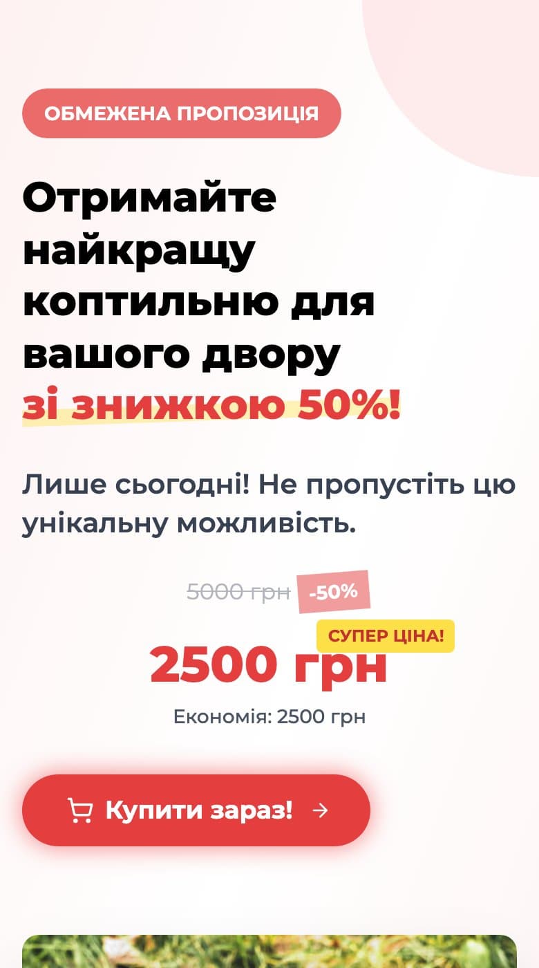Мобільний лендінг коптильні з офером і ціною